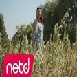 Nesrin Ünal - Gönlüm Ataşlara Yandı Gidiyor