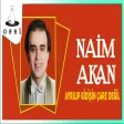 Naim Akan - Ayrılıp Gidişin Çare Değil Saner Plak