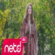 Hanife Aydı - Ey Sevdiğim Bakma Halime
