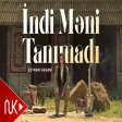 Zeynəb Həsəni - İndi Məni Tanımadı Rəsmi