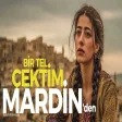 Bir Tel Çektim Mardinden Psychedelic Anatolian Rock Cover | Turkish Ritim House
