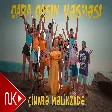 Cinare Melikzade - Qara Qasin Vesmesi