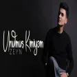 Zeyn - Unutmuş Kimiyəm
