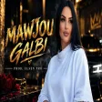 Elsen Pro - Mawjou Galbi
