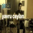 Pinhâni - Yavru Ceylan