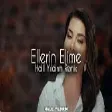 Ebru Yaşar - Ellerin Elime ( Halil Yıldırım Remix )