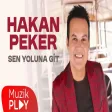 Hakan Peker - Sen Yoluna Git