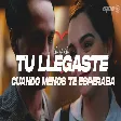 LEO DAN - TU LLEGASTE CUANDO MENOS TE ESPERABA - CH & CH - - CHESPIRITO (Letra)