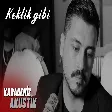 Mehmet Emre Çelik - Keklik Gibi Akustik