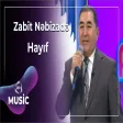 Zabit Nəbizadə - Hayıf