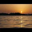 Özgün - Deli Bal
