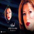 Assala ft.Hak Camel - Ayshni Thawani ( Remix أصالة & هاك كامل - عيشني ثواني ريمكس