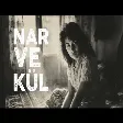Psychedelic Anatolian Rock - Nar Ve Kül