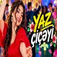 YAZ ÇİÇƏYİ - Oynamalı ŞƏN Mahnı - YENİ AZERİ TREND MAHNİ - YMK