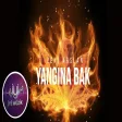 Zeki Arslan - Yangına Bak