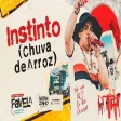 Natanzinho Lima - Instinto Chuva de Arroz - Na Favela (Ao Vivo no Complexo do AlemãoRJ