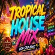 Tropical House Mix - Non - Stop Music Mix