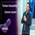 Tərlan Mustafayev - Canım anam