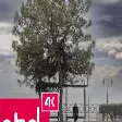 Emre Dikmen - ALTÜST