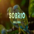Maluma - Sobrio
