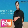 Harun Sürek - Sanki Çölde Hapsedilmişim (Official Audio)