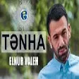Elnur Valeh - Tenha (YUKLE)