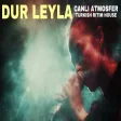 Dur Leyla Leyla Canlı Atmosfer Versiyon - Psychedelic Anatolian Rock Cover - Turkish Ritim House