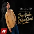 Tural Eliyev - Deyer Verdim Qedrim Olmadi (Remix Arif Feda TikTok Trend