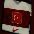 Sinan Akçıl - Türkler Geliyor