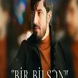 Ferid Ehmedzade - Bir bilsen