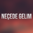 Arzuxanim - Necede gelim mp3 yukle