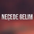 Arzuxanim - Necede gelim mp3 yukle