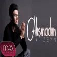 Zeyn - Alışmadım