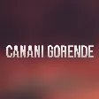 Aydin Sani Xeyale Qafarzade - Canani Gorende mp3 yukle