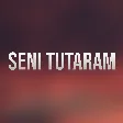 Fatime Memmedli - Seni Tutaram mp3 yukle