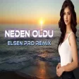 Elsen Pro - Neden Oldu