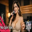 Nüşabə Ələsgərli - Nə İşin Var AI Cover