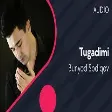 Bunyod Sodiqov - Tugadimi  Бунёд Содиков - Тугадими (AUDIO)