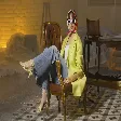 Ayten Rasul - Tekamül - Cover