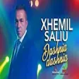 Xhemil Saliu - Dashnia