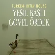 Turkish Ritim House - Yeşil Başlı Gövel Ördek