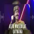 Asiq Musqulat - Qaynana 2021 (Official Audio)