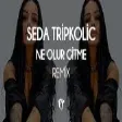 Seda Tripkolic - Ne Olur Gitme ( Fatih Yılmaz Remix )