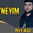 Riyad Asiq - Sevgi Mene Oldu Qenim Neyneyim 2020