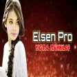 En Çok Dinlenen Mahnılar Elsen Pro Remixleri