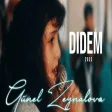 Günel Zeynalova - Didem (2023 Version