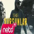 Tekir - Vursunlar