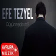 Efe Tezyel - Düşünmedin mi?