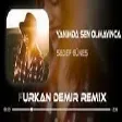 Sedef Güneş - Yanımda Sen Olmayınca ( Furkan Demir Remix )