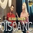 Elnur Valeh - Qisqanc  Official Audio  2020